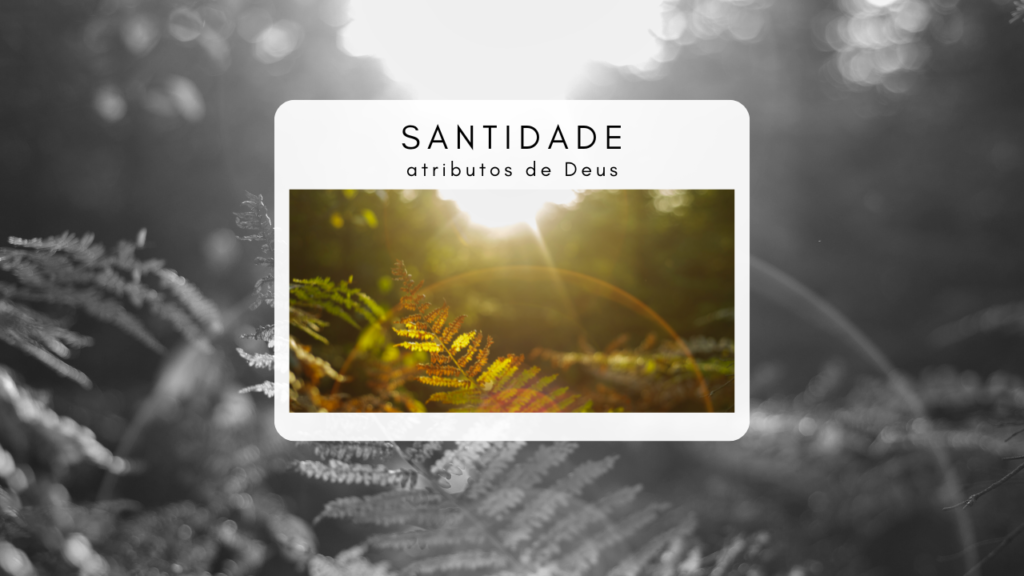 santidade de deus